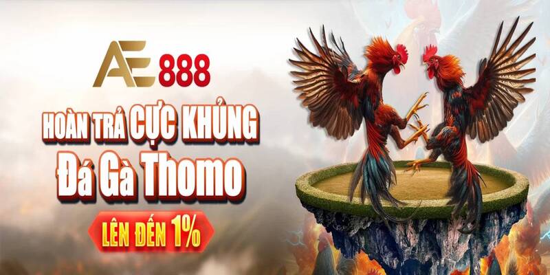 hoan tra toi 1 khi da ga thomo truc tiep tai ae888